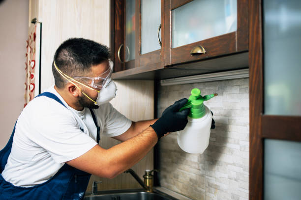 Best Wasp Removal Services  in Brooksi, DE