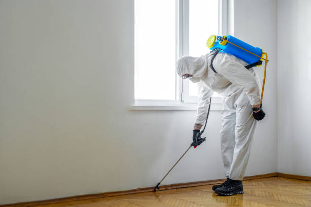 Best Best Pest Control Near Me  in Brooksi, DE