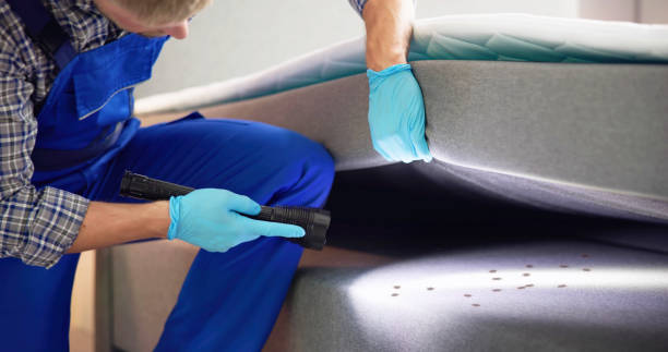 Best Pest Control Near Me in Brookside, DE