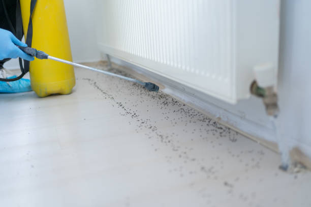Best Residential Pest Control  in Brooksi, DE